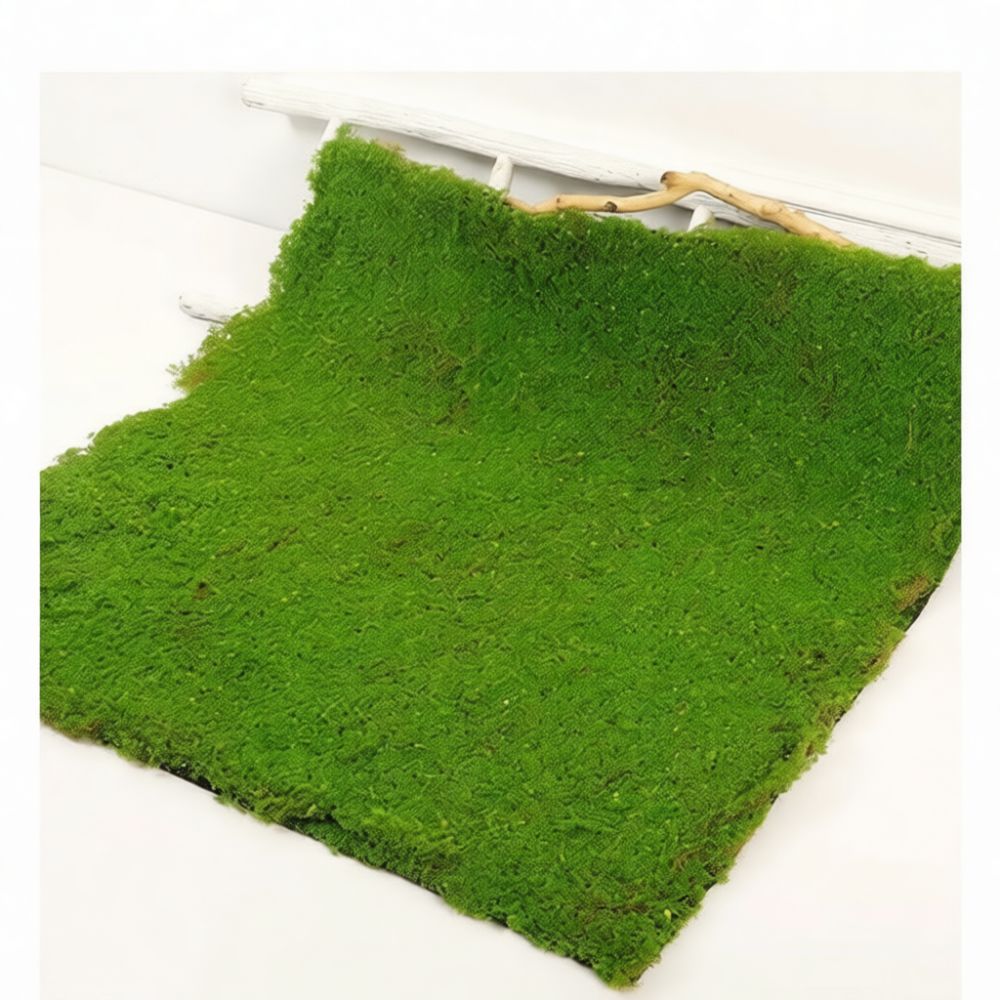 แผ่นหญ้าเทียมลายมอส สำหรับตกแต - Preserved Moss Sheet บทวิจารณ์และราคา