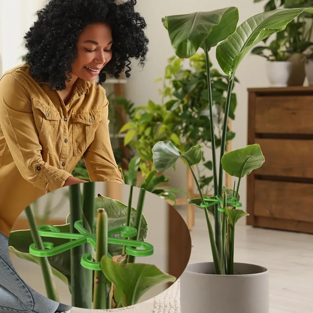 ดอกไม้StemสนับสนุนStakesปีนเขา - Florist Supply Bulk บทวิจารณ์และราคา