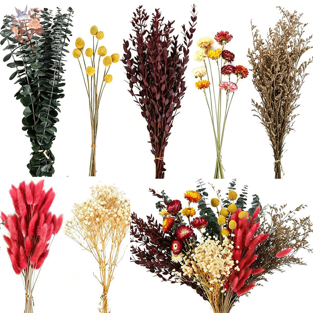 ชุดดอกไม้แห้งแบบขายส่ง 7 ชนิด  - Florist Supply Bulk บทวิจารณ์และราคา
