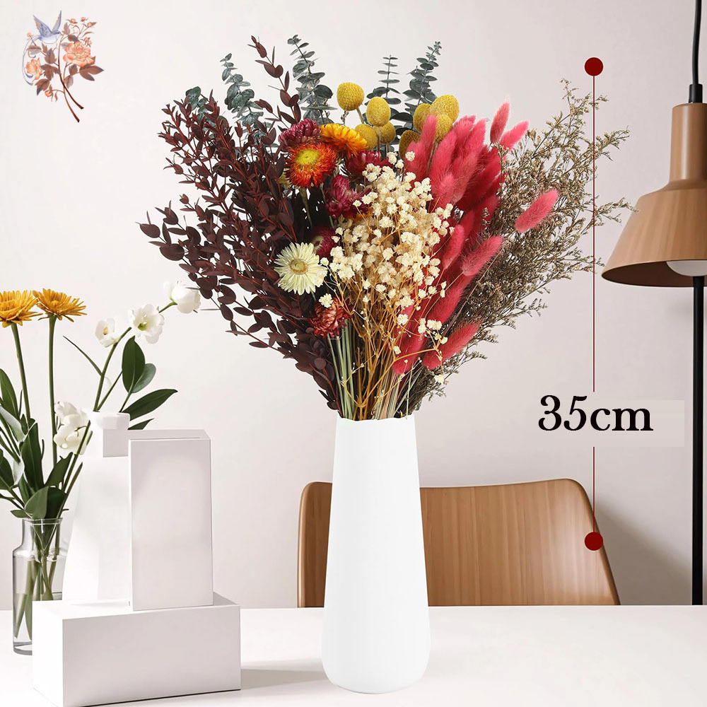 ชุดดอกไม้แห้งแบบขายส่ง 7 ชนิด  - Florist Supply Bulk บทวิจารณ์และราคา