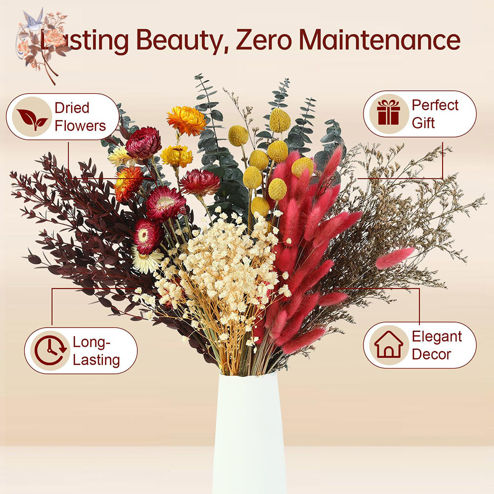 ชุดดอกไม้แห้งแบบขายส่ง 7 ชนิด  - Florist Supply Bulk บทวิจารณ์และราคา
