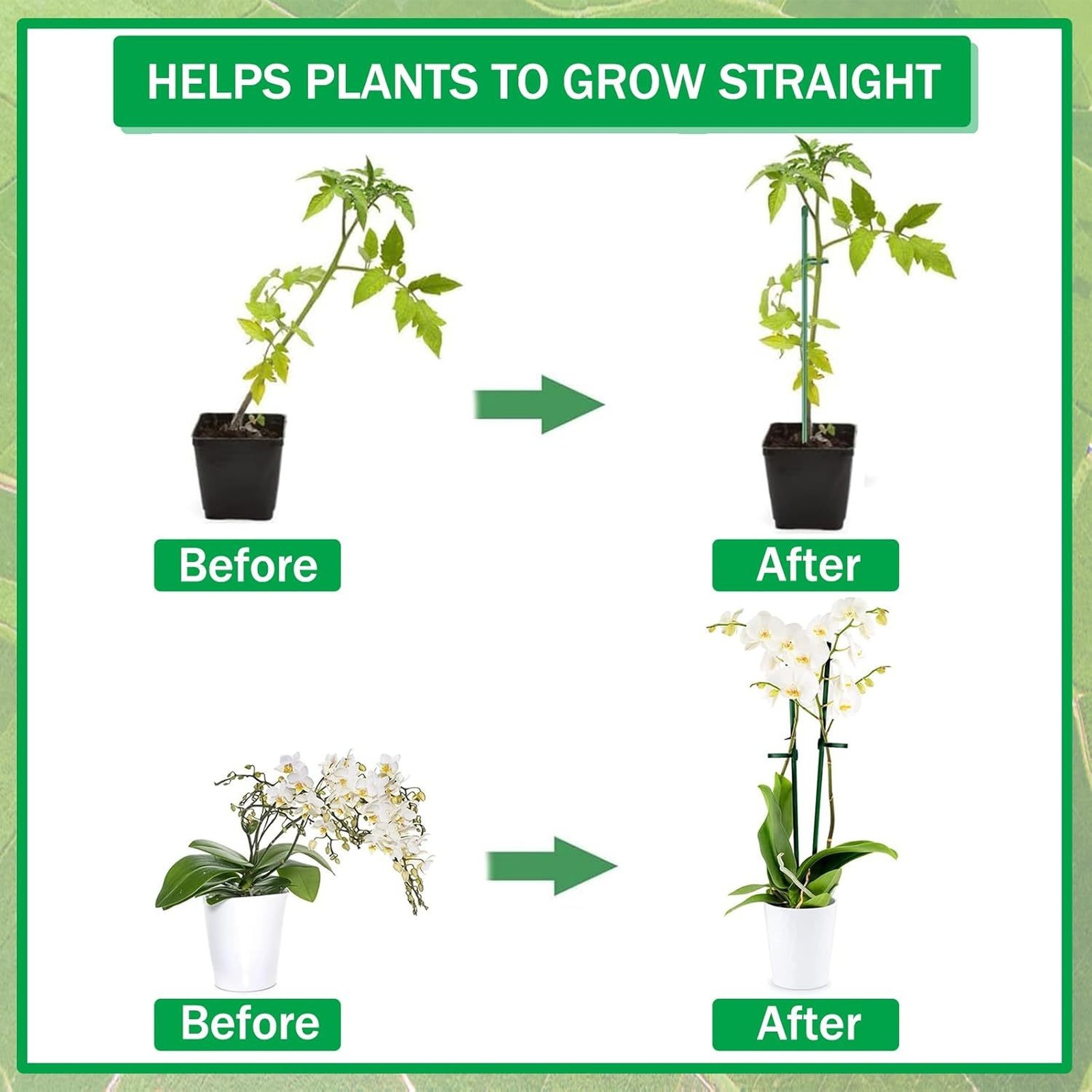เสาค้ำต้นไม้แบบเดี่ยว สำหรับพุ - Florist Supply Bulk บทวิจารณ์และราคา