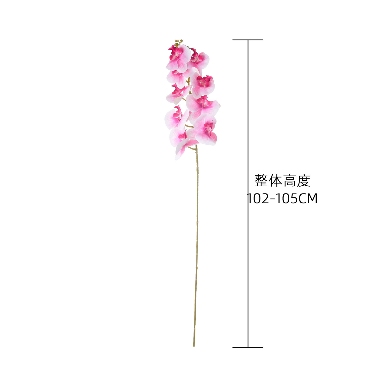 กล้วยไม้ฟาแลนนอปซิสประดิษฐ์สัม - Florist Supply Bulk บทวิจารณ์และราคา