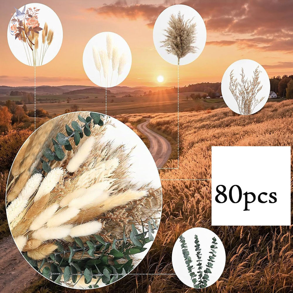 ช่อดอกไม้แห้งธรรมชาติ 80 ชิ้น  - Eucalyptus Preserved บทวิจารณ์และราคา